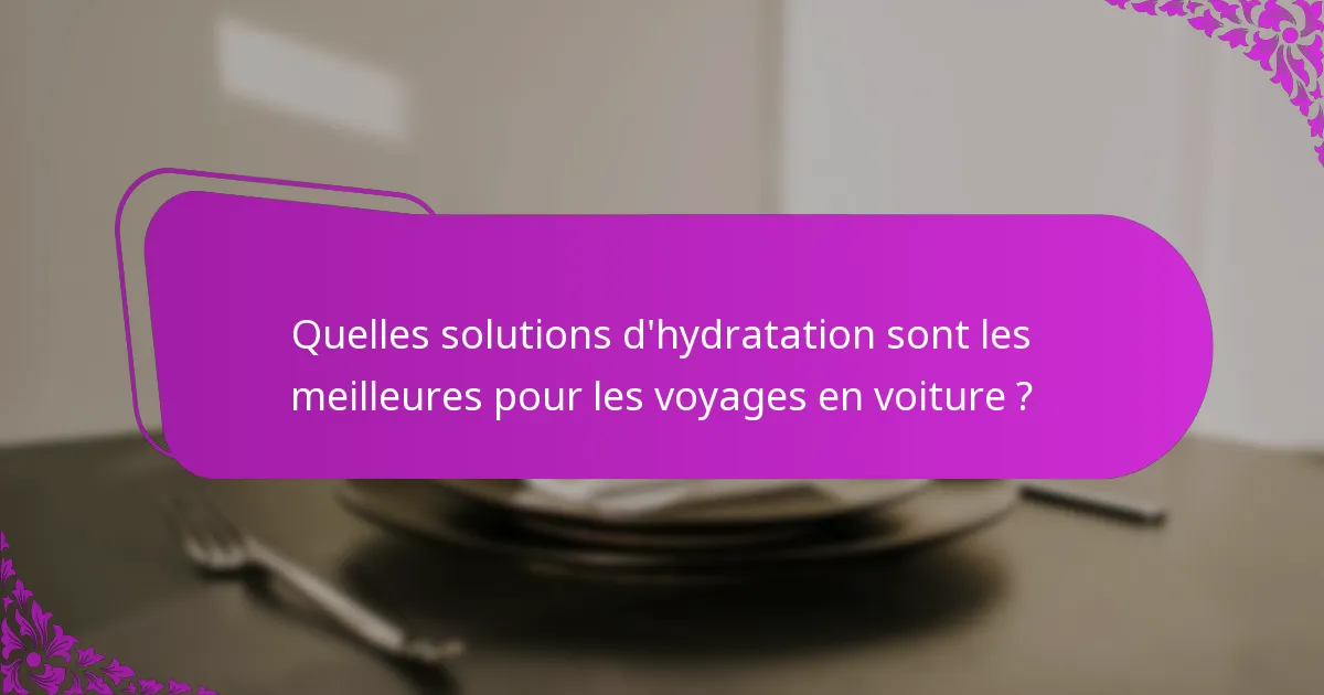 Quelles solutions d'hydratation sont les meilleures pour les voyages en voiture ?