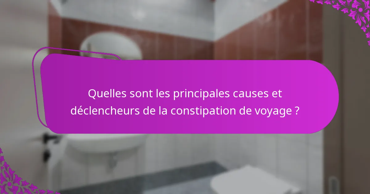 Quelles sont les principales causes et déclencheurs de la constipation de voyage ?