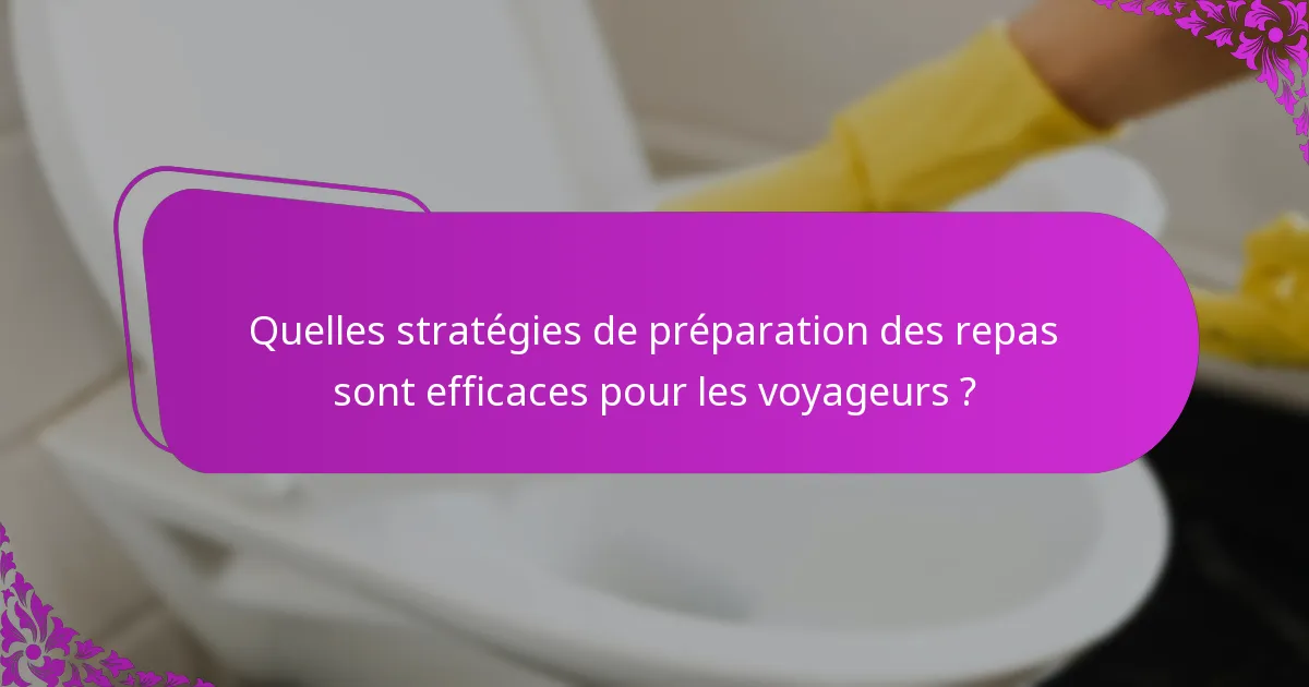 Quelles stratégies de préparation des repas sont efficaces pour les voyageurs ?