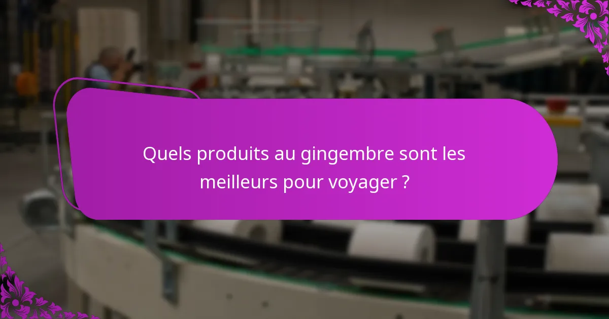 Quels produits au gingembre sont les meilleurs pour voyager ?